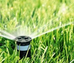 Rasenbewässerung