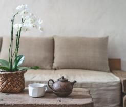 Biały storczyk phalaenopsis w wiklinowej doniczce na drewnianym stoliku obok ceramicznego dzbanka i filiżanki
