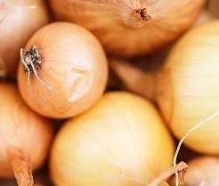 How to grow onions