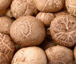 Fresh shiitake mushrooms.
