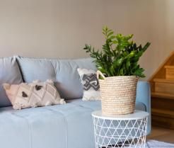 Un salon moderne avec escaliers en bois, canapé rétro bleu clair avec oreillers et une plante de Zamioculcas zamiifolia sur un support blanc et ajouré