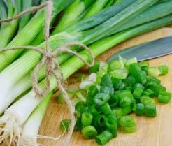 how to grow spring onions