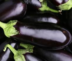 Eggplant bunch