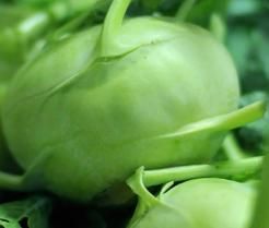 Kohlrabi