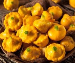 Patty Pan Squash