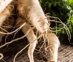 Parsnip