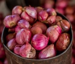 Shallots