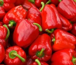 Growing lots of capsicum