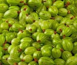 Gooseberry