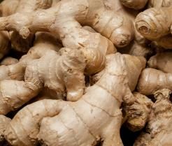 Sadzenie imbiru w domu 