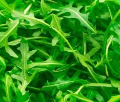 How to grow and care for Rocket salad leaves