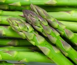 Culture et entretien des asperges