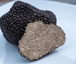 Fresh black summer truffle mushroom sliced in pieces on a plate. 