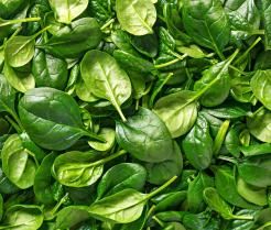 Uprawa szpinaku - w ogródku i na balkonie