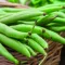 How to Grow French Beans 