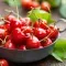 How to grow & care for cherry trees