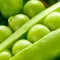 how to grow peas