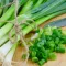 how to grow spring onions