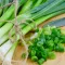 how to grow spring onions