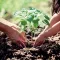 Image for Bloeiende planten