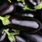Eggplant bunch