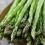 How to grow & care for asparagus