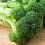 How to grow & care for broccoli