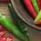 Learn How to Grow Chillies in Simple Steps | Love The Garden