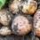How to grow potatoes