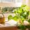 Golden Pothos plant in pot on table near window with copper watering can
