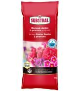 Substral Terreau Pour Plantes Fleuries &amp; Géraniums
