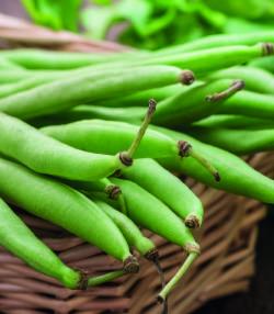 How to Grow French Beans 