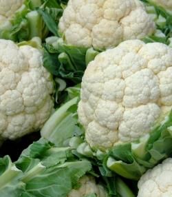 How to grow & care for cauliflower