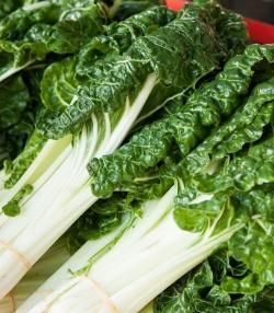 How to grow & care for silverbeet