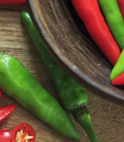 Learn How to Grow Chillies in Simple Steps | Love The Garden