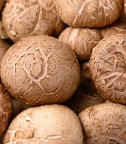 Fresh shiitake mushrooms.
