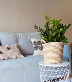 Un salon moderne avec escaliers en bois, canapé rétro bleu clair avec oreillers et une plante de Zamioculcas zamiifolia sur un support blanc et ajouré