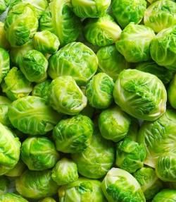 Brussels Sprouts