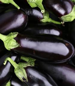 Eggplant bunch