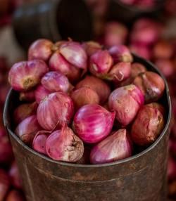 Shallots