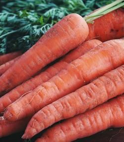 Carrots