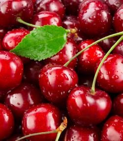 Kersenboom planten – Plantation de cerises - I Love My Garden