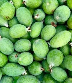 A large collection of ripe feijoa fruit.