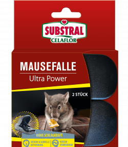 SUBSTRAL® Celaflor® Mausefalle Ultra Power

