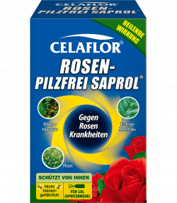 Celaflor® Rosen-Pilzfrei Saprol Konzentrat
