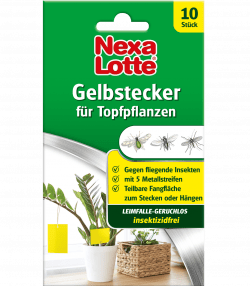 Nexa Lotte® Gelbstecker

