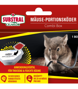 SUBSTRAL® Celaflor® Mäuse-Portionsköder Combi Box
