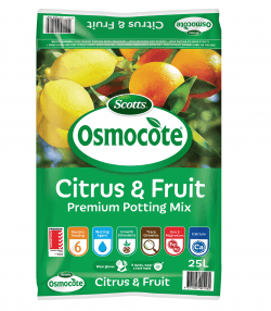 Scotts Osmocote® Citrus &amp; Fruit Potting Mix
