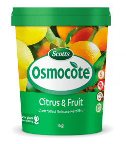 Scotts Osmocote® Controlled Release Fertiliser: Citrus &amp; Fruit

