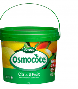 Scotts Osmocote® Controlled Release Fertiliser: Citrus &amp; Fruit